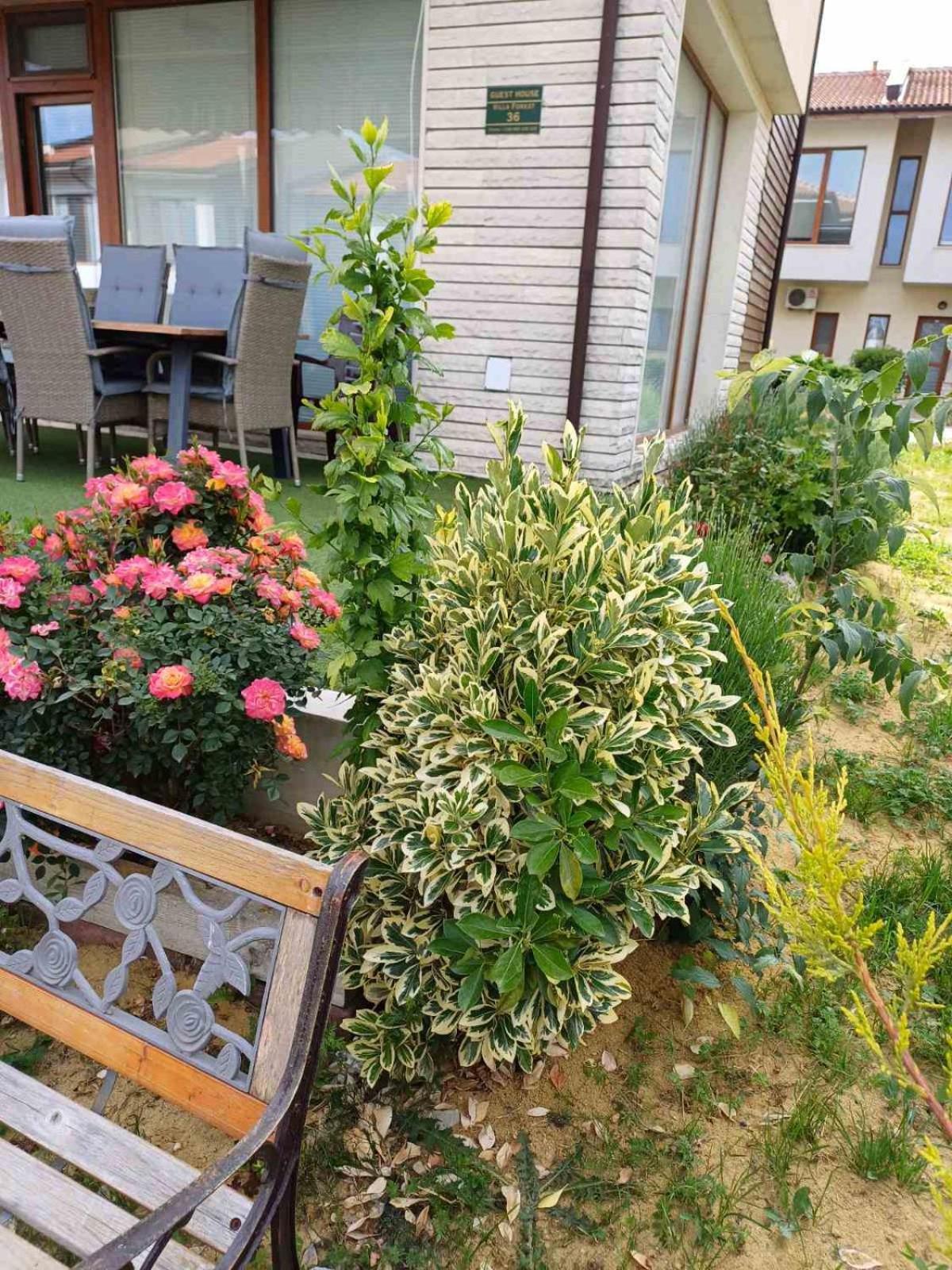 Lighthouse 3 Bedrooms Villa F36 Balchik Esterno foto